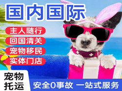 沈阳桃仙航空邮寄国际宠物托运 【国